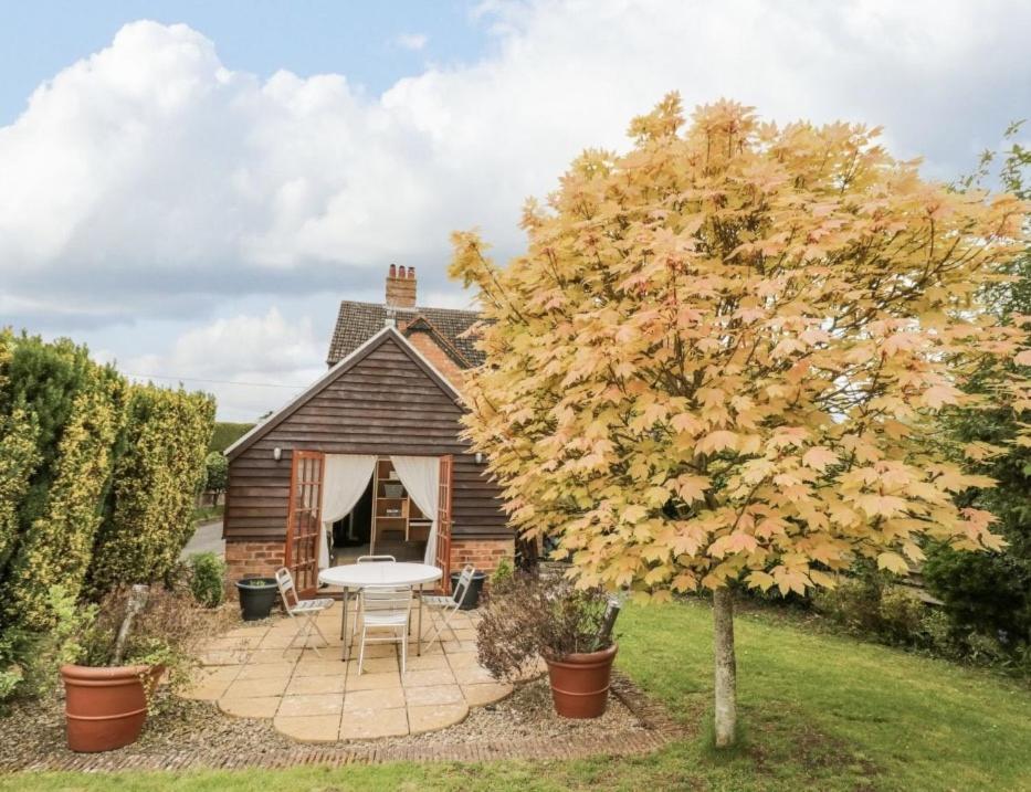 Lovely Comfortable 3 Bed Home, Worcester Exteriér fotografie